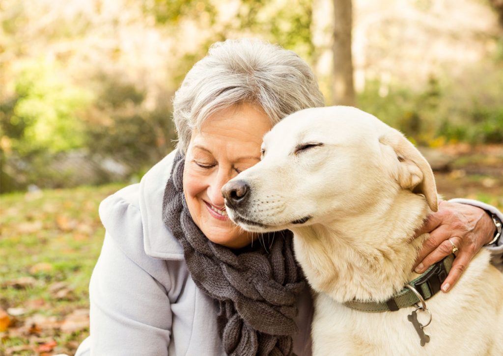 Hunde als Therapeuten für Senioren